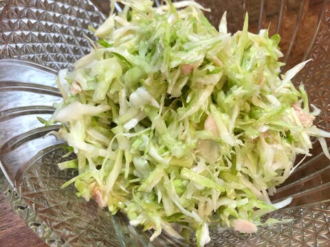 千切りキャベツのさっぱりサラダ レシピ 作り方 By レオ 楽天レシピ